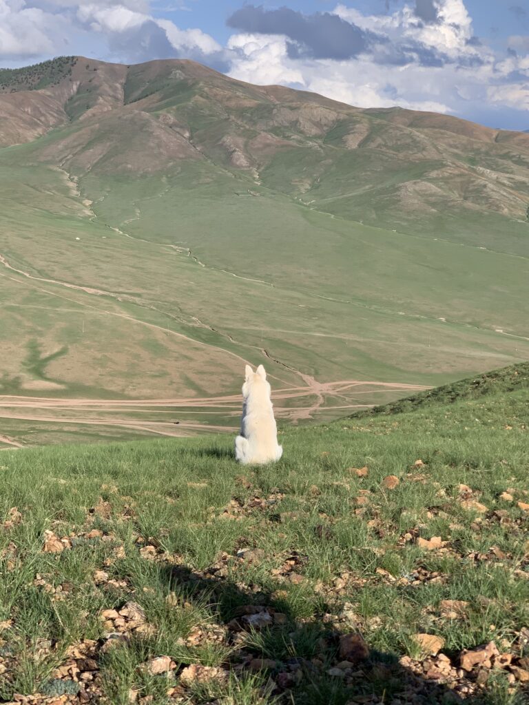Hidden Gems in Asia: Murun Mongolia