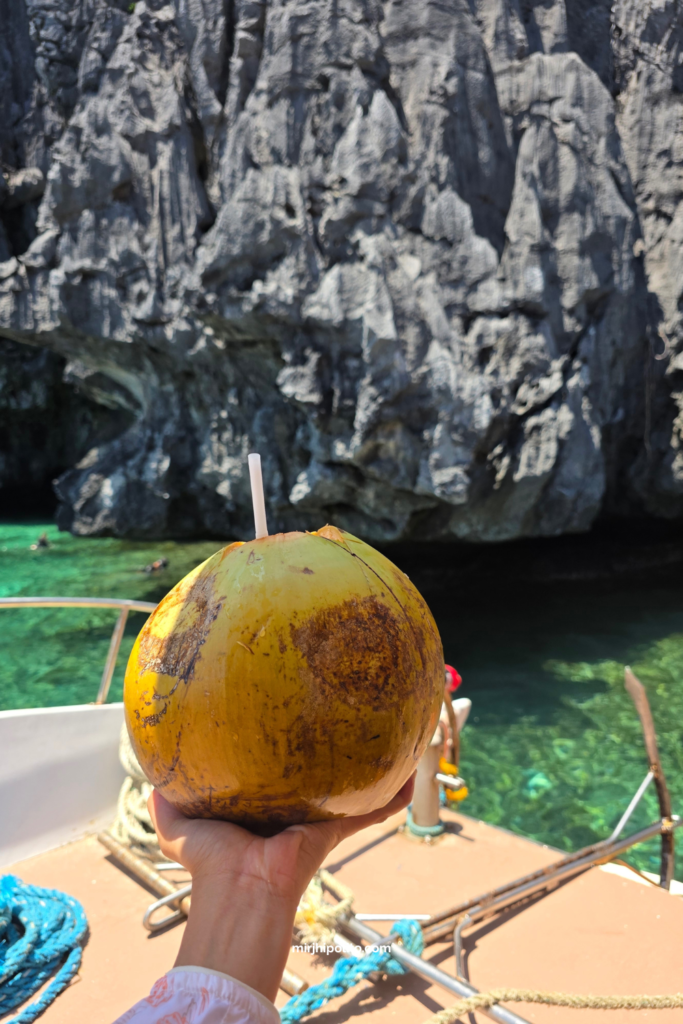 Coconut in El Nido