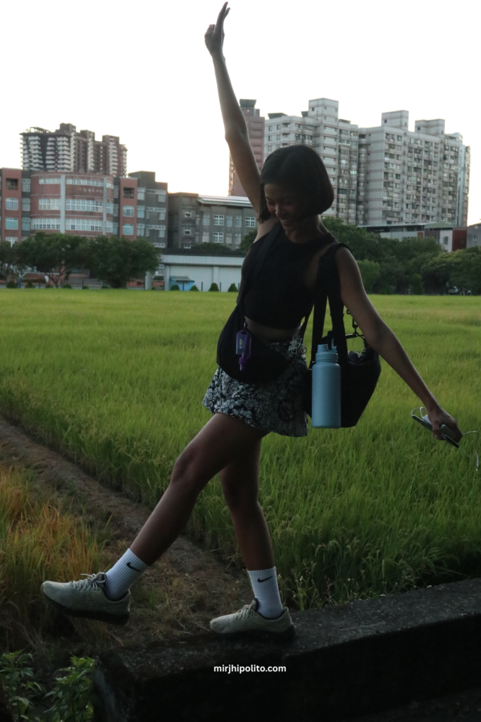 Rice Fields in New Taipei City