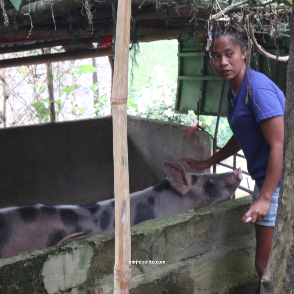 My Bestfriend Seniang with Momma Pig