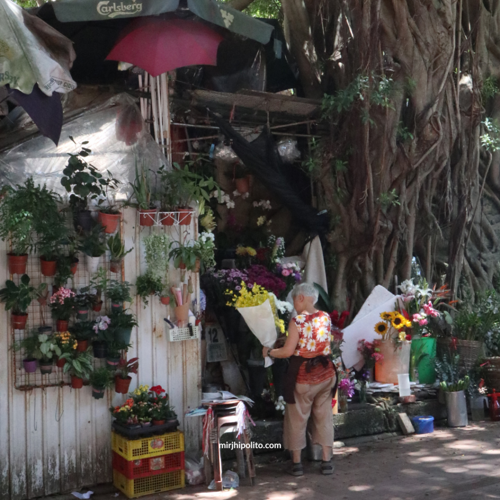 Flower Shop in Stanley 